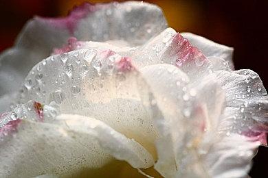 《拉娜的星球》18分钟实机 2023年正式发售